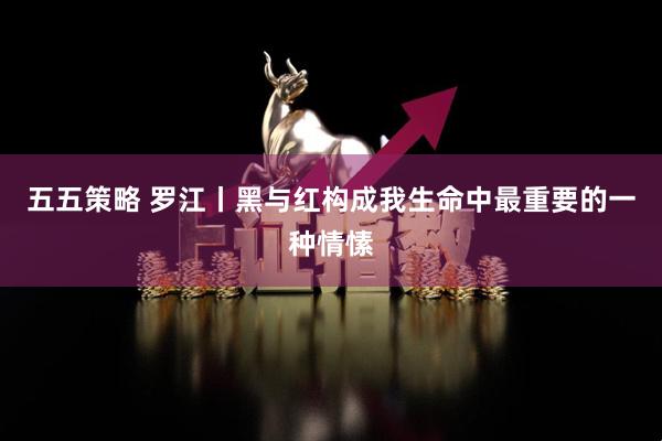 五五策略 罗江丨黑与红构成我生命中最重要的一种情愫