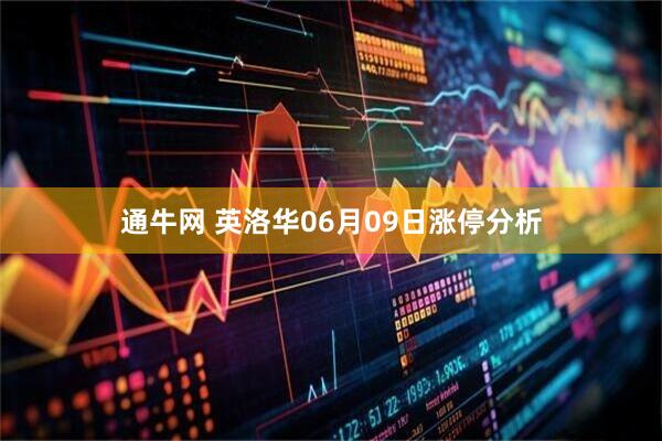 通牛网 英洛华06月09日涨停分析