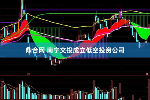 鼎合网 南宁交投成立低空投资公司