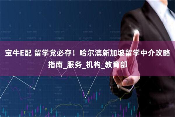 宝牛E配 留学党必存！哈尔滨新加坡留学中介攻略指南_服务_机构_教育部