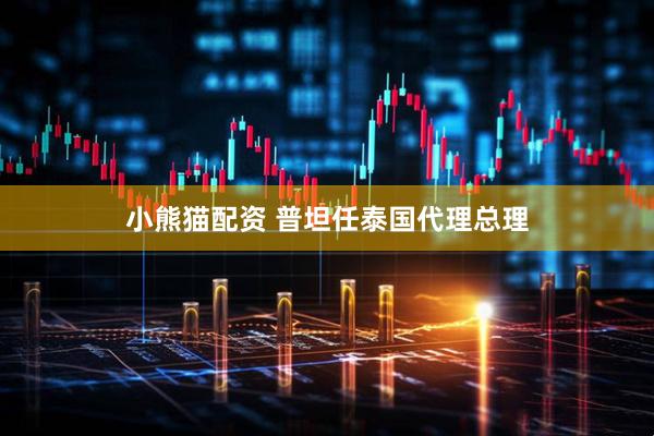 小熊猫配资 普坦任泰国代理总理