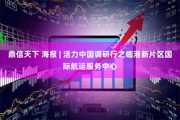 鼎信天下 海报 | 活力中国调研行之临港新片区国际航运服务中心