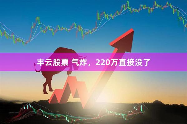 丰云股票 气炸，220万直接没了